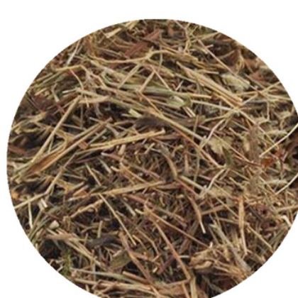 中药材 金丝草 毛毛草 笔仔草 黄毛草 猫仔草 墙头竹 量大从优图2