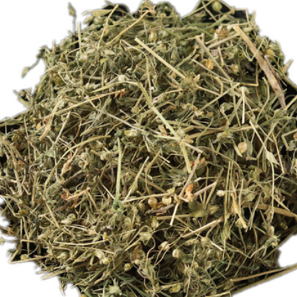 中药材小米草 芒小米草 量大从优图2