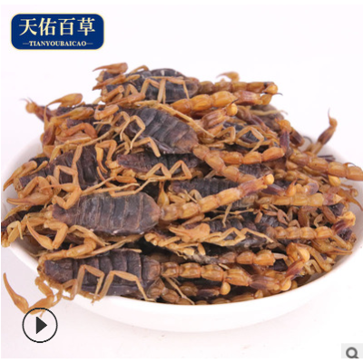 大货足干新货中药材全蝎干全虫蝎子清水500g泡酒批发全蝎干
