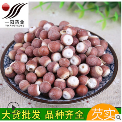 批发芡实 散装500克芡实 肇庆大货芡实 芡实米 各种规格 产地直供