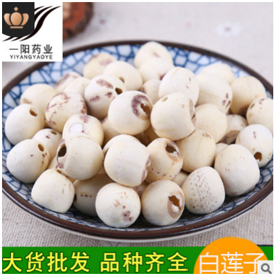 批发白莲子 散装 500g去芯莲子 大货湘莲 各种规格 其他药食同源
