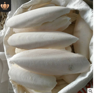 海螵蛸500g 乌贼骨墨鱼骨 散装中药材 产地货源无杂新货海螵