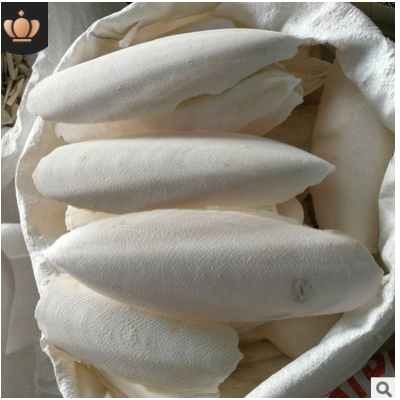 海螵蛸500g 乌贼骨墨鱼骨 散装中药材 产地货源无杂新货海螵