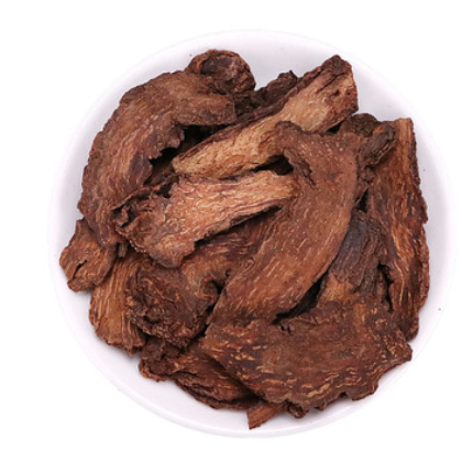 产地货源 内蒙古阿拉善锁阳炖汤泡酒锁阳个锁阳片金锁阳鲜切片图2