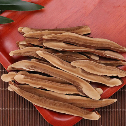 产地货源 长白山赤灵芝紫灵芝 灵芝片 黑灵芝 松杉灵芝 量大从优