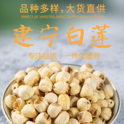 建宁白莲 新鲜去芯白莲子干货 产地直供 各种规格散装批发图2