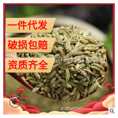 新货供应调味香料茴香 小茴香烧烤十三香粉原料散装批发量大从优
