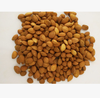 桃仁 500g/100g苦桃仁 桃仁粉 桃仁 桃仁粉 杏仁 炒桃仁图3