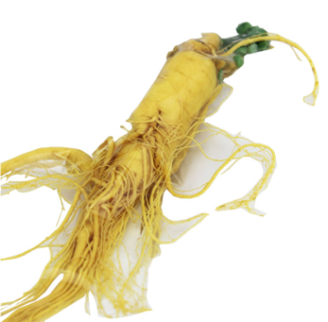 三两鲜参净重150克抽真空单支装长白山产地人参