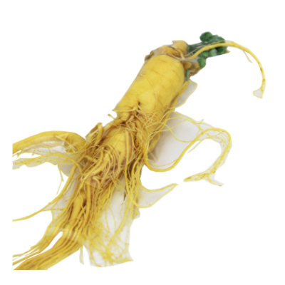 三两鲜参净重150克抽真空单支装长白山产地人参