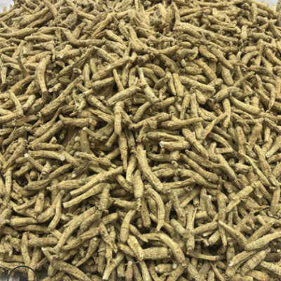 加拿大西洋参段 2.5克下尖尾 花旗参 可代切片实体经营