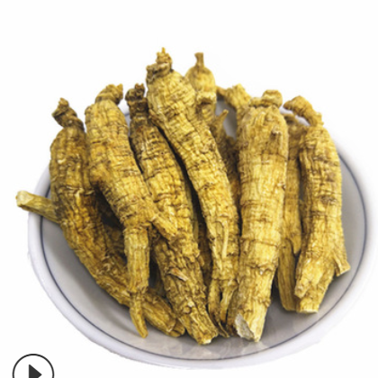 加拿大西洋参段 2.5克下尖尾 花旗参 可代切片实体经营图2