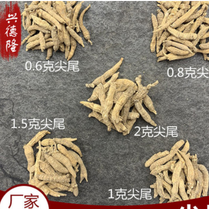 兴德隆 美国花旗参 移植花旗参尖尾 西洋参厂家规格齐全大货批发