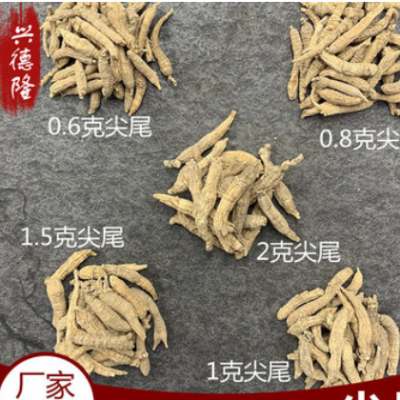 兴德隆 美国花旗参 移植花旗参尖尾 西洋参厂家规格齐全大货批发