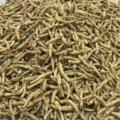 兴德隆 美国花旗参 移植花旗参尖尾 西洋参厂家规格齐全大货批发图3