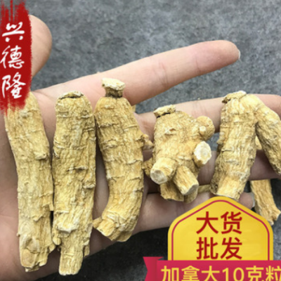 加拿大西洋参段短粒头 10克统粒 花旗参圆粒头统货可切片规格全