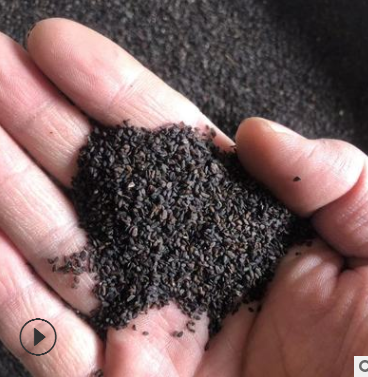 批发中药材 合欢皮 合欢木皮 夜合皮 量大从优图2