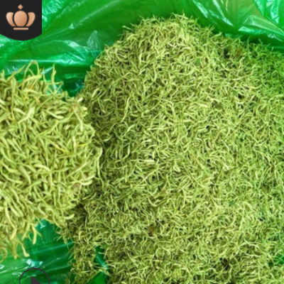 新货封丘金银花散装金银花花茶干金银花大量现货量大从优