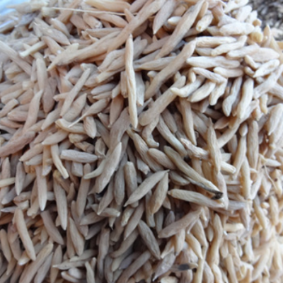 批发中药材川麦冬 无硫熏麦冬 精选四川 现货批发 量大价优