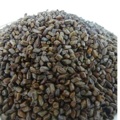 决明子茶 熟制决明子茶散装500g玩具沙决明子大粒选装统装批发图2