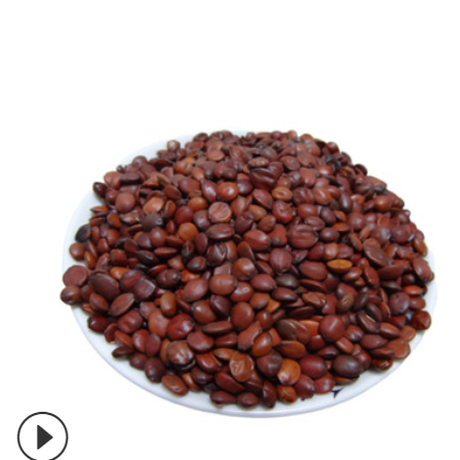 现货供应酸枣仁 产地直营货源中药材酸枣仁 枣仁酸枣仁图3