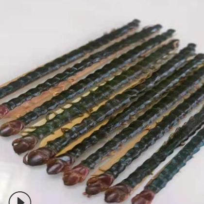 湖北产红头大条蜈蚣干中药材 百足虫 吴公 蝍蛆量大从优规格全图2