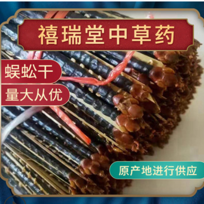 湖北产红头大条蜈蚣干中药材 百足虫 吴公 蝍蛆量大从优规格全