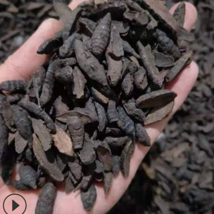 制香附 炙香附 醋香附片 香附子厂家供应大货批发零售量大从优图2