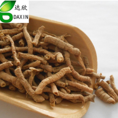 中药材远志 新货远志肉一件起批量大从优