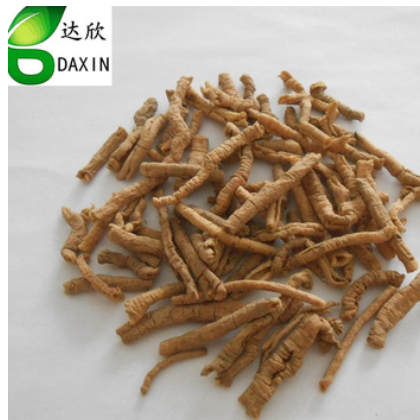 中药材远志 新货远志肉一件起批量大从优图2