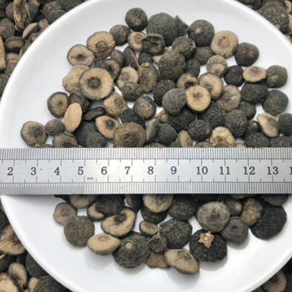 江西枳实1公斤 成胜药业中药材批发多规格 可代打粉图2