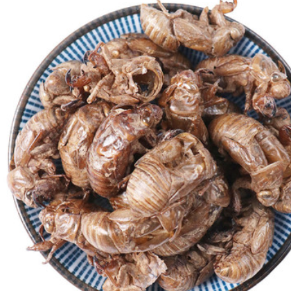 蝉蜕500克 成胜药业中药材批发零售