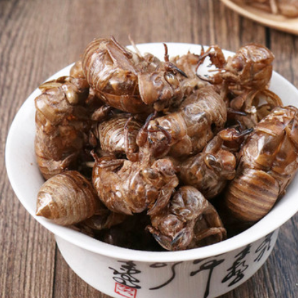 蝉蜕500克 成胜药业中药材批发零售图2