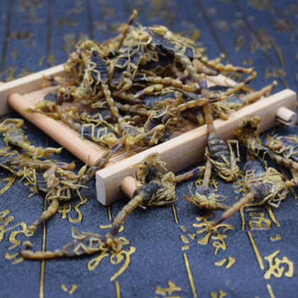 中药材批发 全虫 蝎子 清水无盐全干 全蝎 多种规格散装 黑蝎子图2