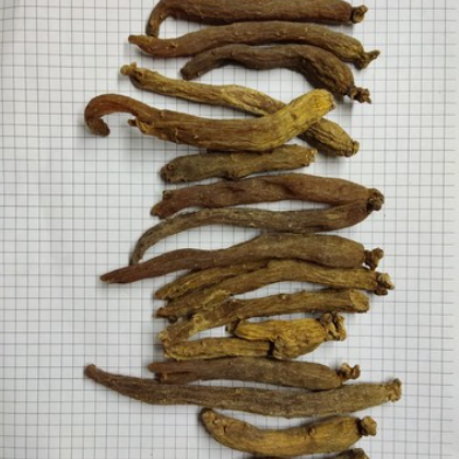 红参个hongshen 无糖红参个30吉林长春产地9月产新520每公斤包邮图2