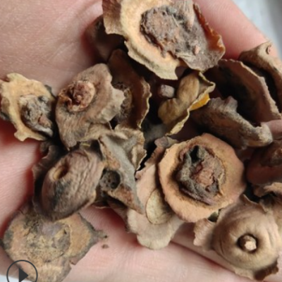 柿蒂 shidi 产地陕西省西安市2月产新 34元每公斤包邮柿钱柿丁