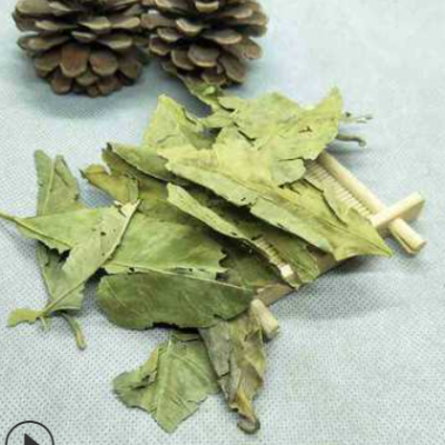 橘叶 juye 产地 江西省 赣州市 6月产新 12元每公斤包邮 橘叶