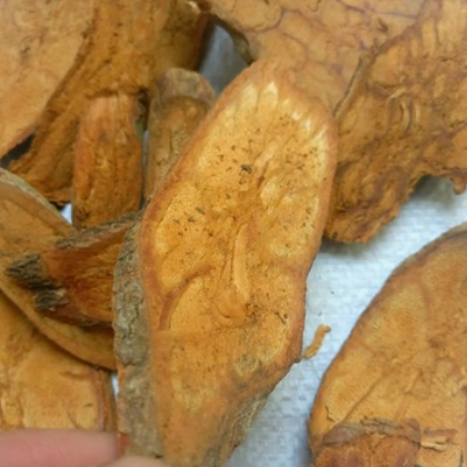 过山龙guoshanlong 产地贵州施秉7月产新15元每公斤包邮南蛇藤