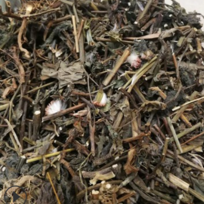 一点红 yidianhong 产地江西 西昌 6月产新 28元每公斤包邮