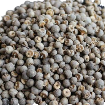 谷精草 谷精珠 产地浙江温州8月产新 65元每公斤 耳朵刷子珍珠草图2