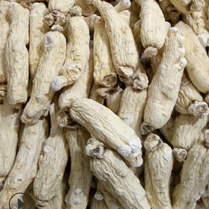 批发人参 白参 东北长白山人参 整枝人参图2