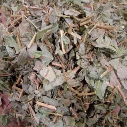 批发中药材大叶金钱草 小叶金钱草 荷包草图2