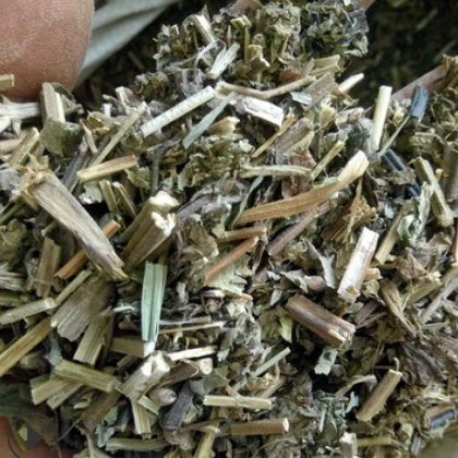 批发中药材溪黄草 溪沟草 熊胆草 血风草 黄汁草图2