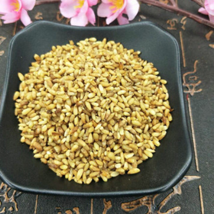 中药材 柏子仁无硫新货 柏子仁 伯仁肉 产地货源 量大价优