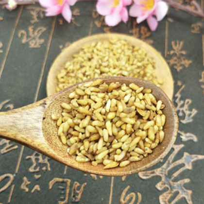 中药材 柏子仁无硫新货 柏子仁 伯仁肉 产地货源 量大价优图2