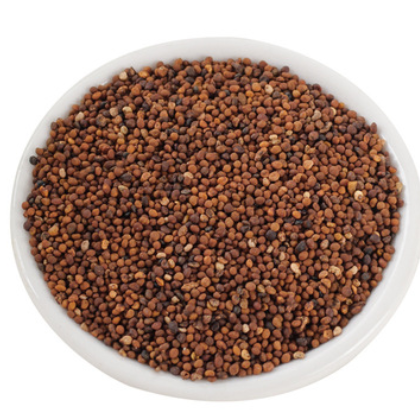 无硫新货 水洗 中药材 菟丝子 内蒙产菟丝子 支持药检 常年大货图2