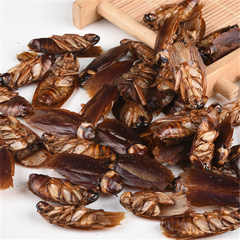 微信图片_20190219190327