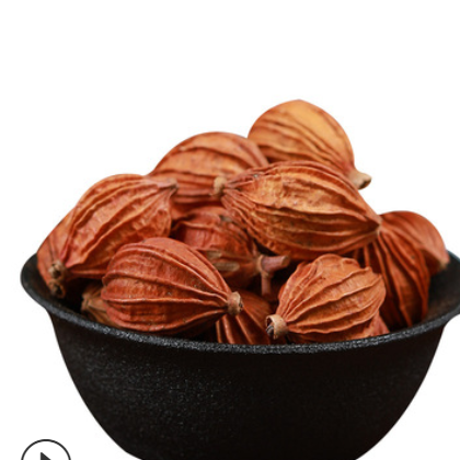 川砂仁产地直销散装500g香砂仁新货无硫熏砂仁川菜现打现磨砂仁粉图2