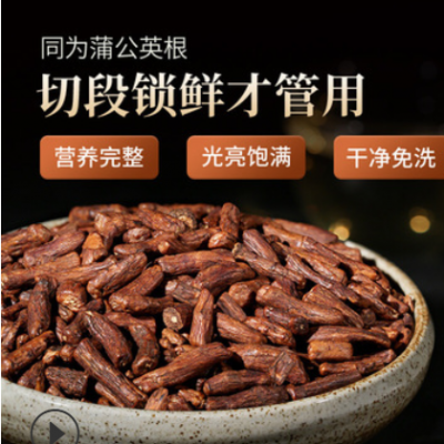 玉叶金花蒲公英根茶200g/瓶装白古丁根茶婆婆丁根茶OEM代加工花茶