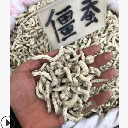 中药材僵蚕批发 白僵蚕 白僵虫 水洗僵蚕 僵蚕粉 兽用僵蚕粉图2